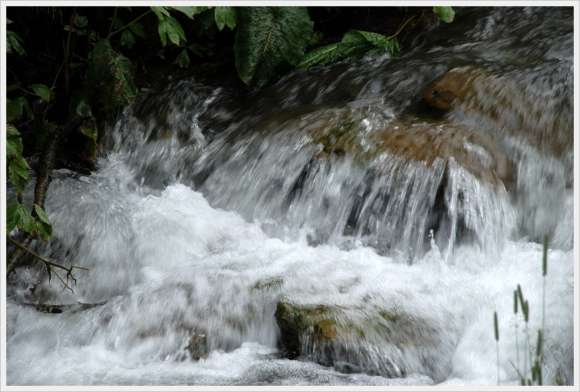 torrente al fontanino.jpg